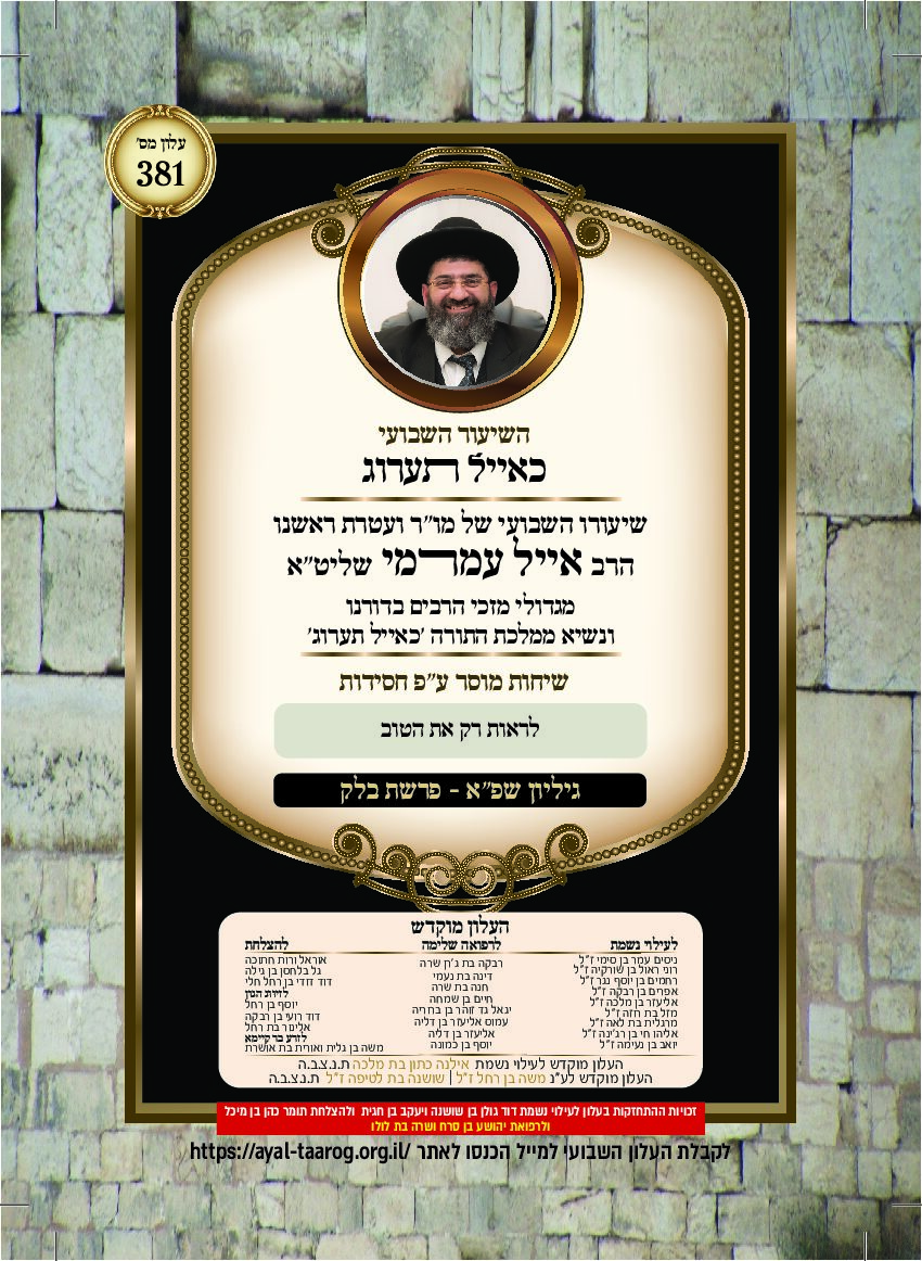 כאיל תערוג גליון שפא - בלק