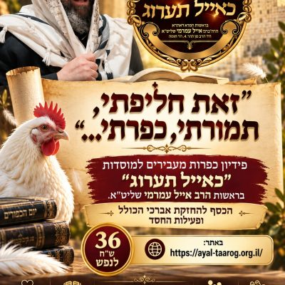 WhatsApp Image 2026-09-14 at 12.36.58